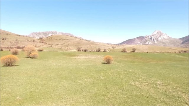 Vuelo sobre pradera
