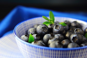 свежая голубика в голубой миске с зеленым листом