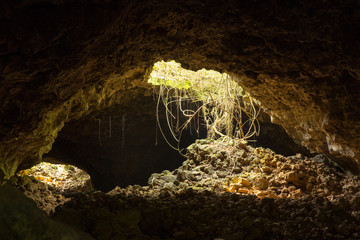 Hole with  roots of trees on top of cave