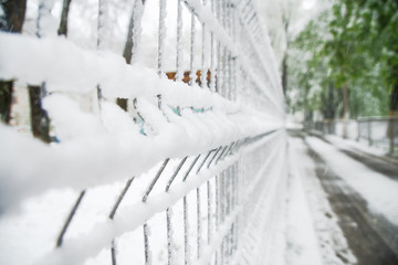 Fence under the snow