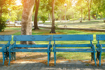 Bench in the shady park - 145216463