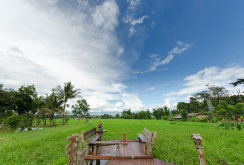 the beautiful rice field , Chaingmai ,Thailand - 145216873