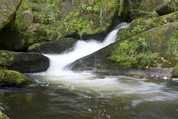 Schwarzwald, Triberger Wasserfälle, Baden-Wuerttemberg,
