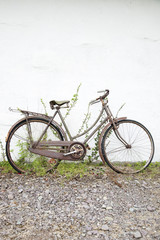 Old Bike