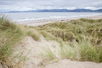 Fototapeta na wymiar Rossbeigh Beach, County Kerry;