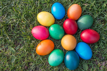 colored Easter eggs on the grass