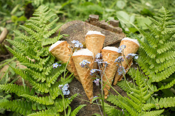 dessert - waffle cones in green leaves