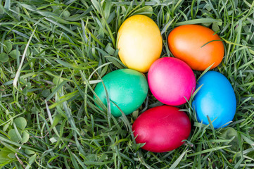 colored Easter eggs on the grass