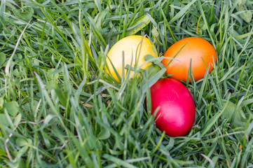 colored Easter eggs on the grass