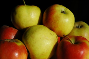 Äpfel in der Sonne