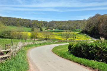 Fototapeta na wymiar Summertime country road scenery in the Herefordshire countryside of the United Kingdom,