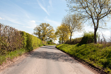 Fototapeta na wymiar Summertime scenery in the Herefordshire countryside of the United Kingdom,