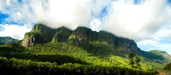 Foto op Canvas Zeven maagdelijke heuvels in Sri Lanka& 39 s meest pittoreske en een van de hoogste toppen van het eiland. © mlnuwan