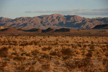 Arid landscape in the Mojave desert near Twentynine Palms, California, USA