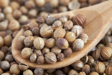 Closeup of dried coriander seeds in wooden spoon