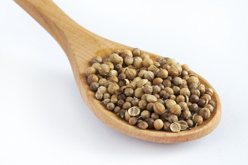 Dried coriander seeds in wooden spoon isolated on white background