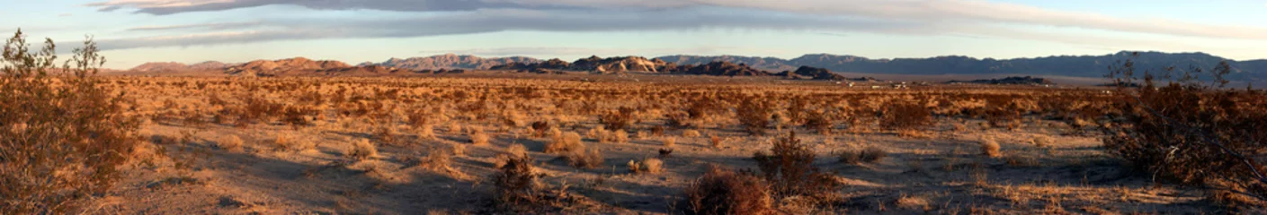 Poster Dorre landschap in de Mojave-woestijn in de buurt van Twentynine Palms, Californië, VS © Travel Nerd