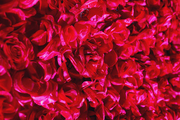 Close-up of red roses side by side in the bunch