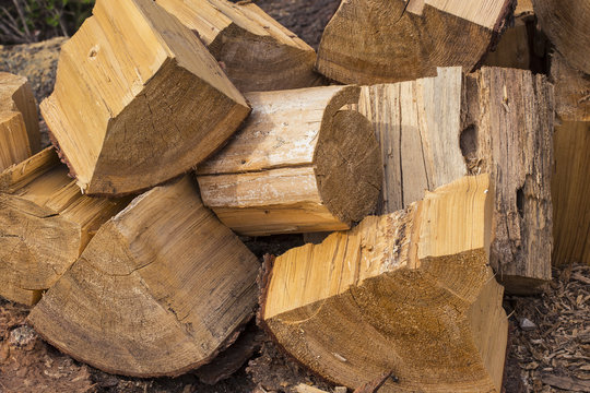 Cut wood logs texture