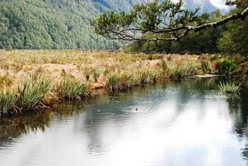 ミラーレイクとキャズム