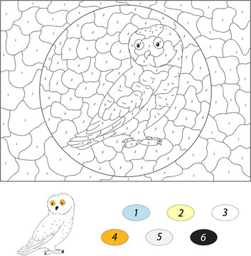 Cartoon polar owl. Color by number educational game for kids