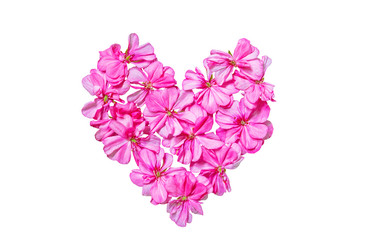 Fototapeta na wymiar Bright pink geranium flowers in heart shape isolated on white background, symbol of love.