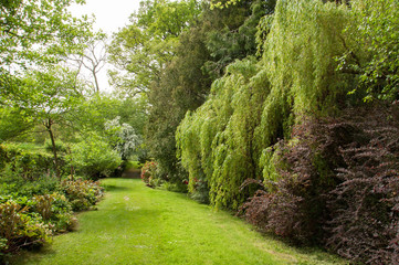 Fototapeta na wymiar Summertime garden in the British countryside.