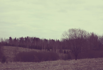 Autumn landscape in the countryside.