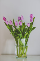 Fototapeta premium Fresh pink tulip flowers bouquet in a glass jar on white table