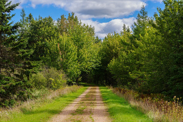 Fototapeta na wymiar Hiking trail in rural Prince Edward Island, Canada know as the Confederation Trail or the Trans Canada Trail.