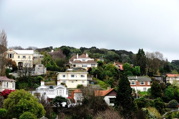 Obraz premium ダニーデン