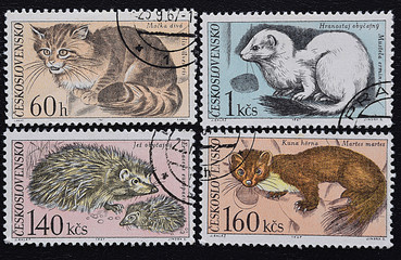 A series of old postage stamps of Czechoslovakia. Mammal animals of Europe