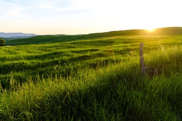 Countryside landscape around Pienza Tuscany