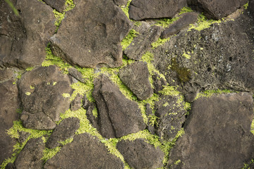 Hawaiian Lava Rock Wall