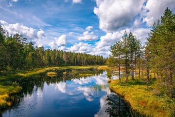 Fototapety  Idyllic summer landscape with clear lake in Finland