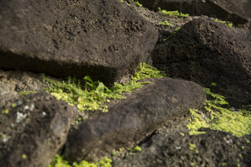 Hawaiian Lava Rock Wall