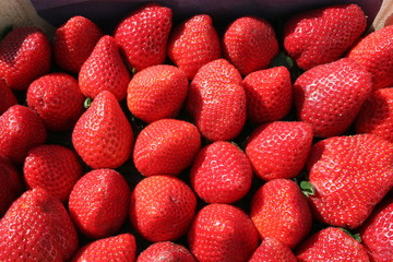 Sweet strawberries from Spain