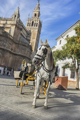 Naklejka na ściany i meble Hermosas ciudades de España para viajar, Sevilla en la región de Andalucía