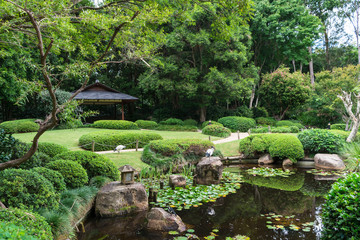 The beautiful peaceful view on small lake with rocks, birds ibis, little japanese lighting appliance and water lilies in Japanese Garden, Brisbane Botanical Garden, Australia - obrazy, fototapety, plakaty