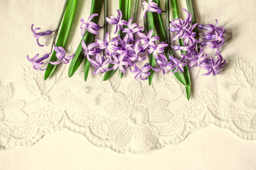  Postcard with lilac hyacinths lying top on the white lace background