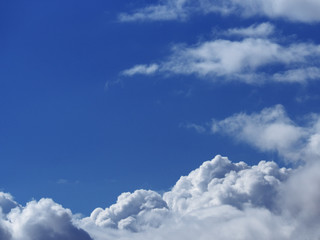 Obraz premium Sky blue with the white fluffy clouds below