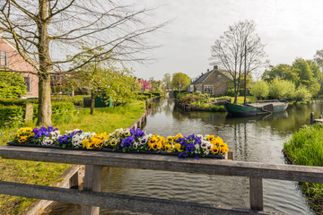 Obraz premium Violas blooming on a wooden bridge railing