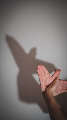 Hands gesture like dove on white background.