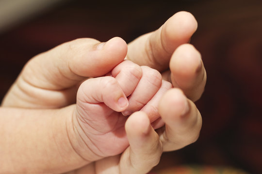 A small hand of newborn inside his mother's palm.