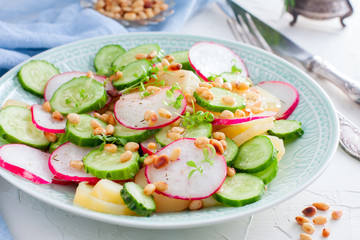 Potato salad with fresh cucumber and radish, horizontal