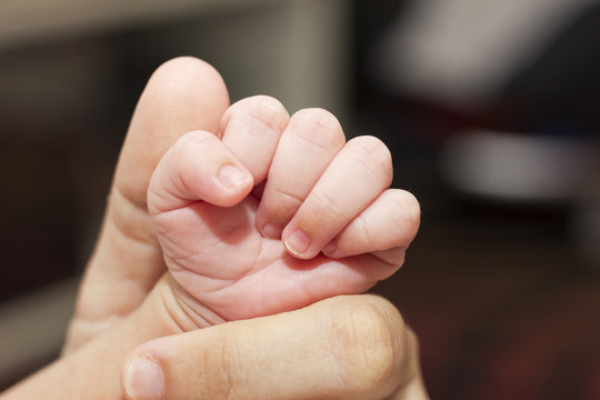 Cute fingers of newborn.