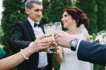Newlyweds and friends clang glasses with champagne