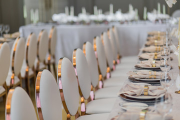 Chairs with golden backs stand at fancy dinner table