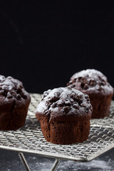 chocolate muffin