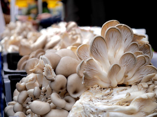 Vegan dishes Oyster mushrooms. Sales at the market.